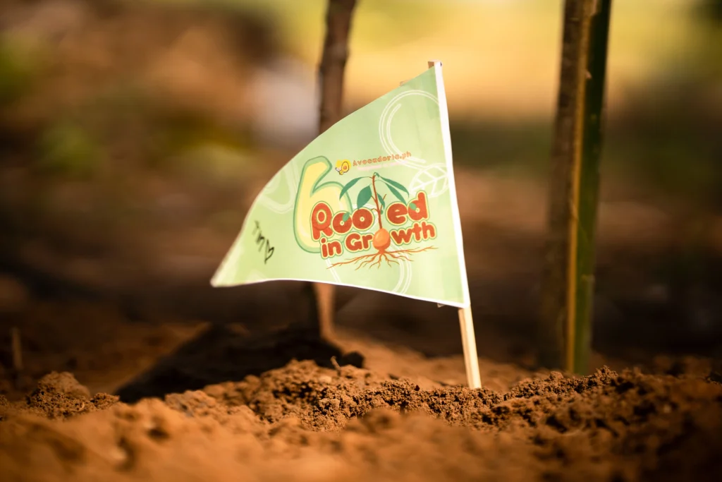 Avocadoria 6th Anniversary